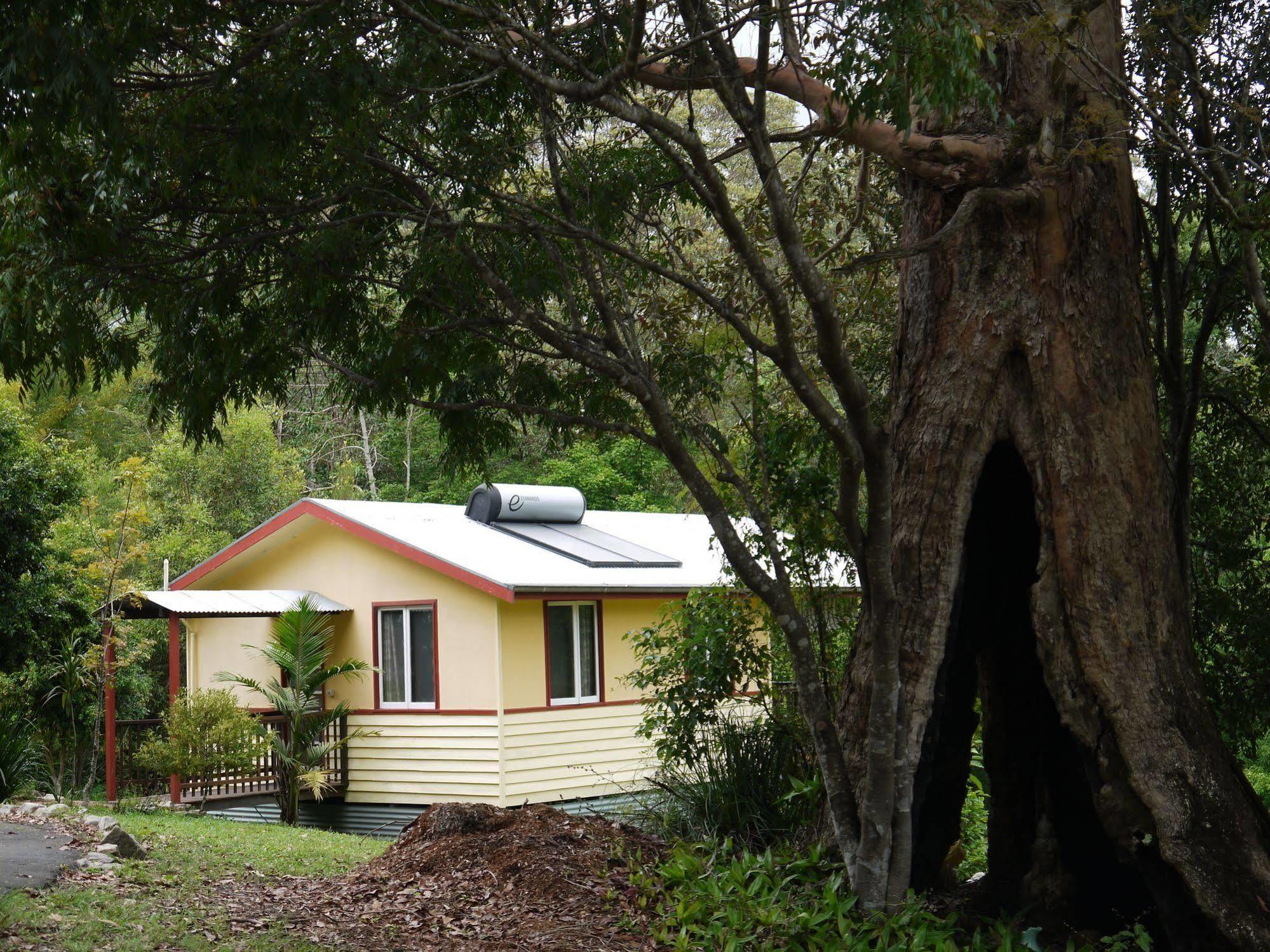 Teretre Cabins Nimbin Villa ภายนอก รูปภาพ